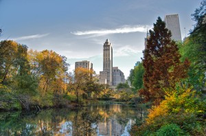 Central Park foliage photo-walk, Nov 2009 - 10